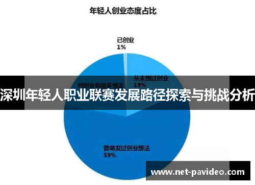 深圳年轻人职业联赛发展路径探索与挑战分析