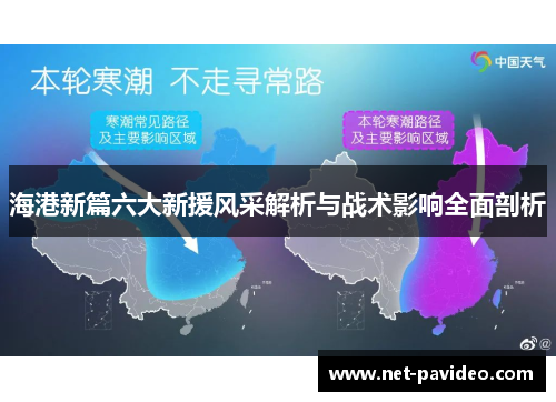 海港新篇六大新援风采解析与战术影响全面剖析