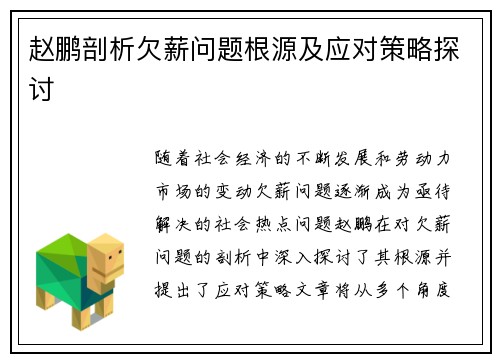 赵鹏剖析欠薪问题根源及应对策略探讨