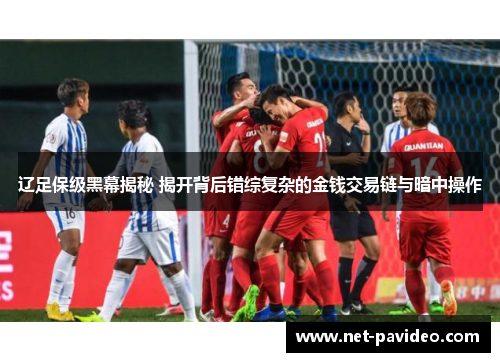 辽足保级黑幕揭秘 揭开背后错综复杂的金钱交易链与暗中操作