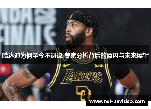 哈达迪为何至今不退役 专家分析背后的原因与未来展望 哈达迪为何至今不退役 专家分析背后的原因与未来展望