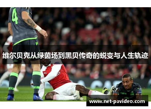 维尔贝克从绿茵场到黑贝传奇的蜕变与人生轨迹 维尔贝克从绿茵场到黑贝传奇的蜕变与人生轨迹