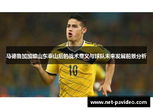 马德鲁加加盟山东泰山后的战术意义与球队未来发展前景分析 马德鲁加加盟山东泰山后的战术意义与球队未来发展前景分析