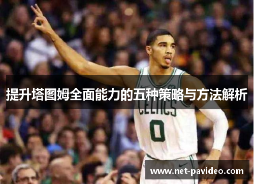 提升塔图姆全面能力的五种策略与方法解析