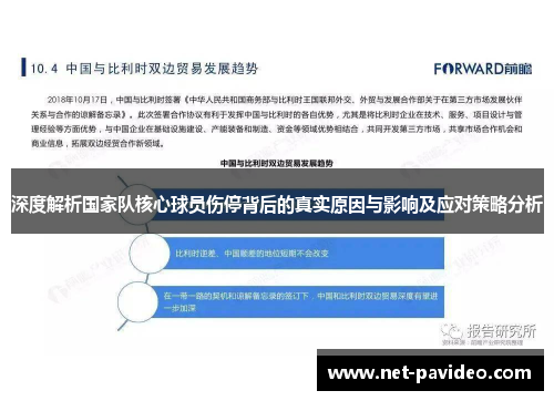 深度解析国家队核心球员伤停背后的真实原因与影响及应对策略分析
